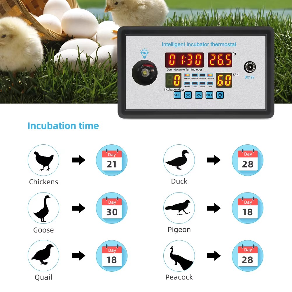 Poultry Incubator - Controlador de incubadora de huevos ZFX-W9002