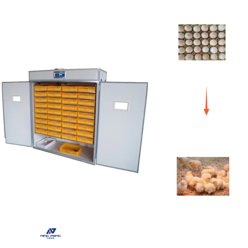 Poultry Incubator - Incubadora de Huevos de Aves de