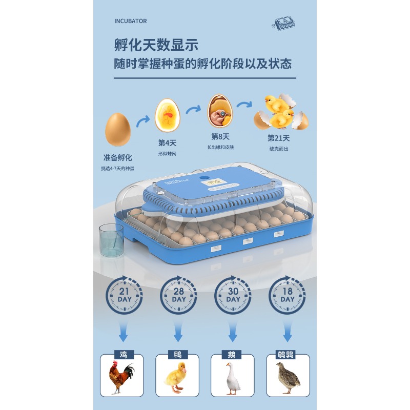 Poultry Incubator - Incubadora automática de huevos con doble