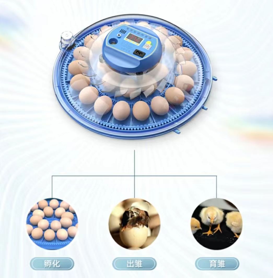 Poultry Incubator - Incubadora de Huevos de Gallina de
