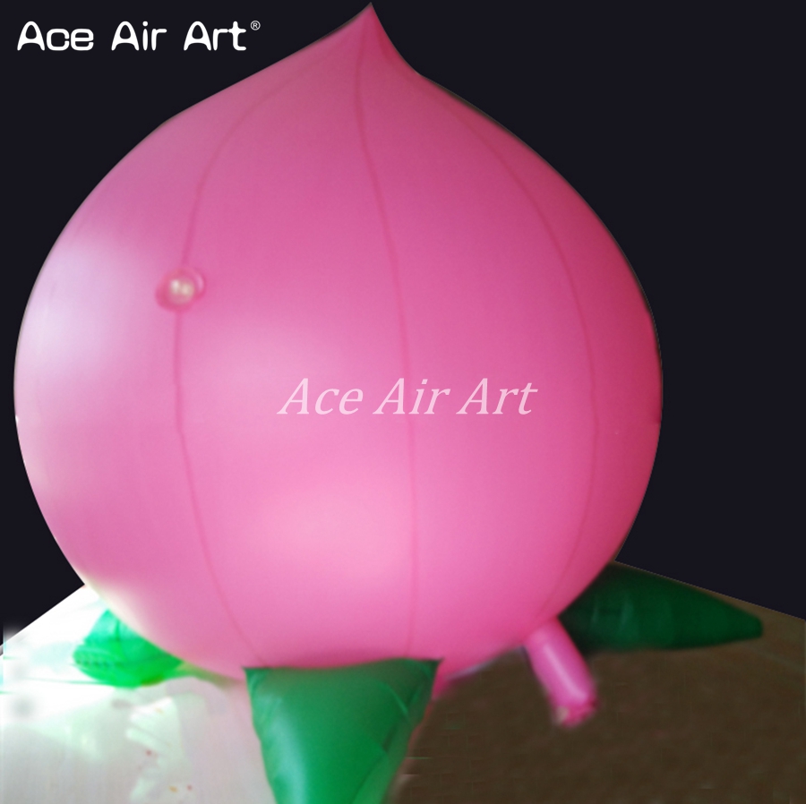 Réplica Inflable Gigante de Du - Agriculture Farming School reseña y precio