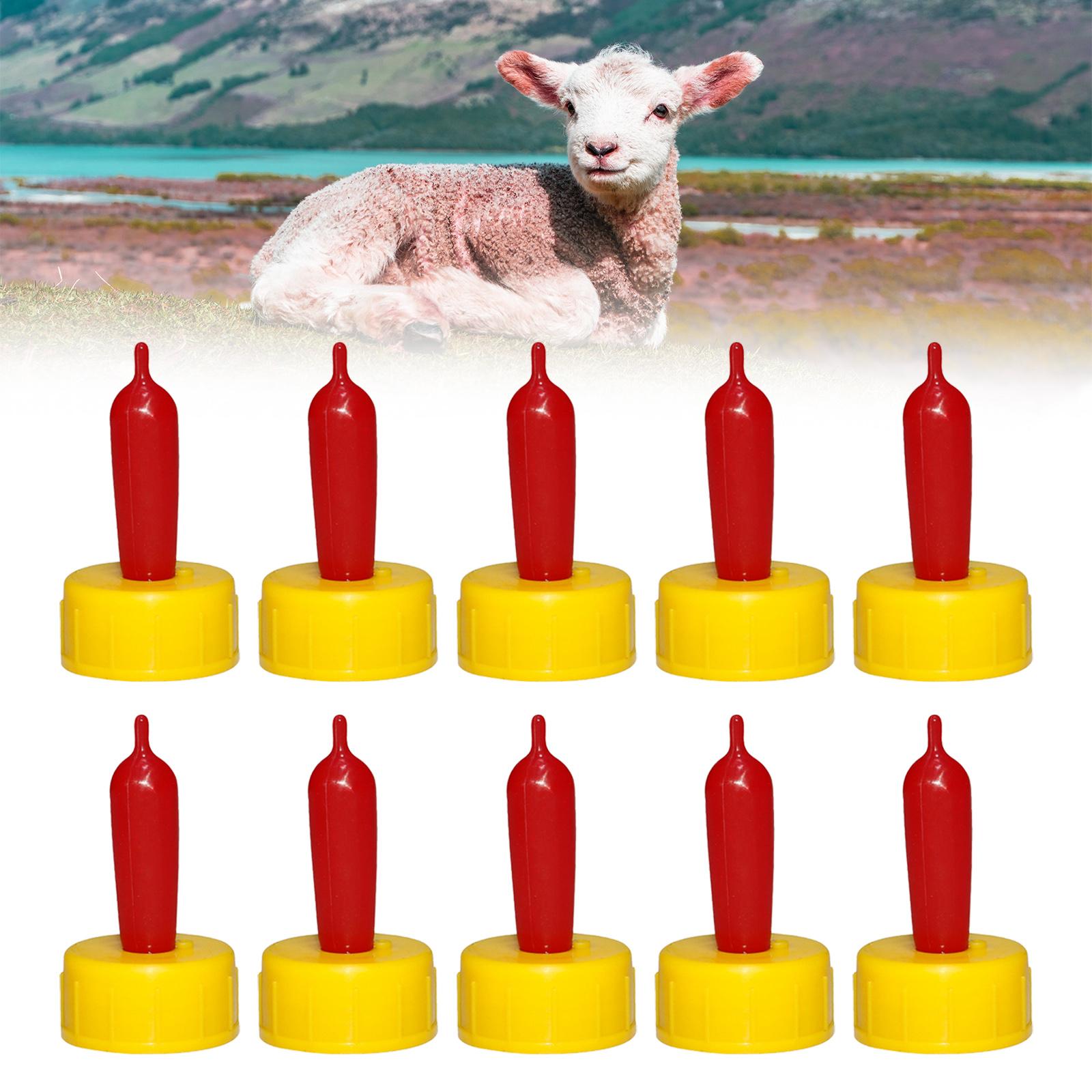 Chupete de Goma Suave para Ove - Agriculture Goat Farming reseña y precio