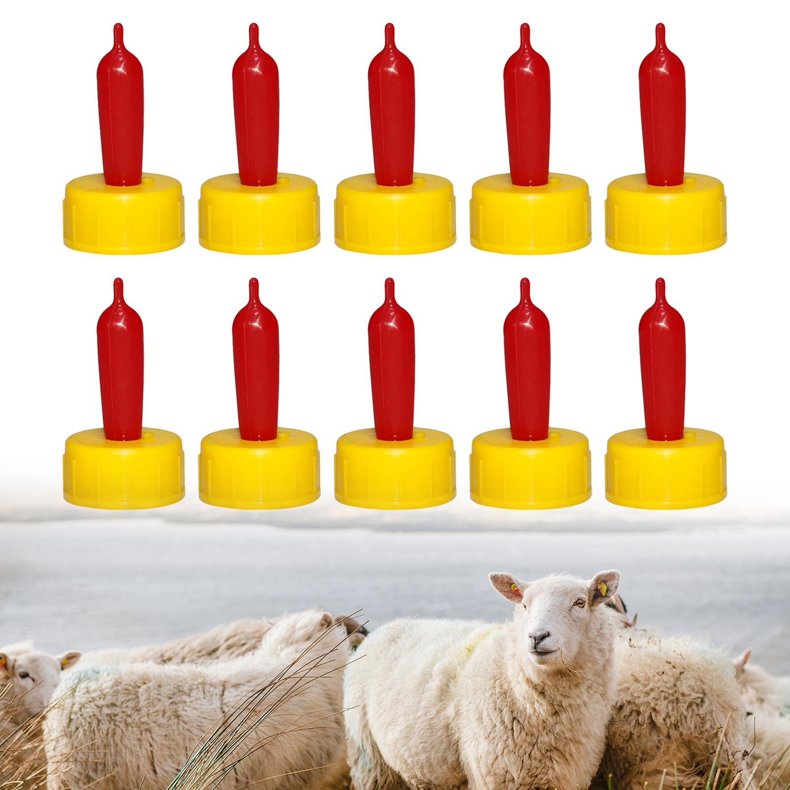 Chupete de Goma Suave para Ove - Agriculture Goat Farming reseña y precio