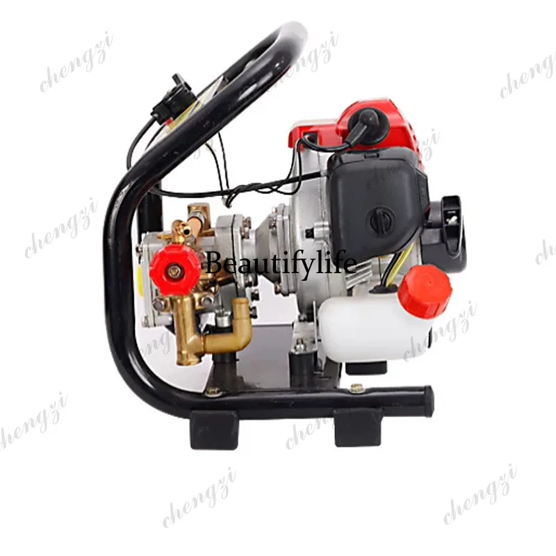 Pulverizador de Alta Presión d - Agriculture Gardening Farming reseña y precio