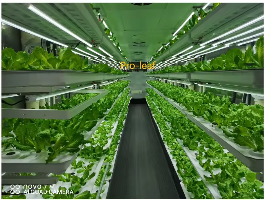 f Equipo agrícola de invernade - Agriculture Farming System reseña y precio