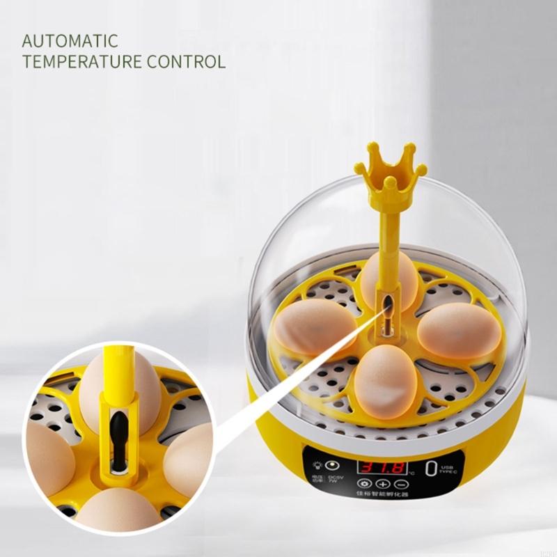 B2RF Incubadora automática ave - Poultry Incubator reseña y precio