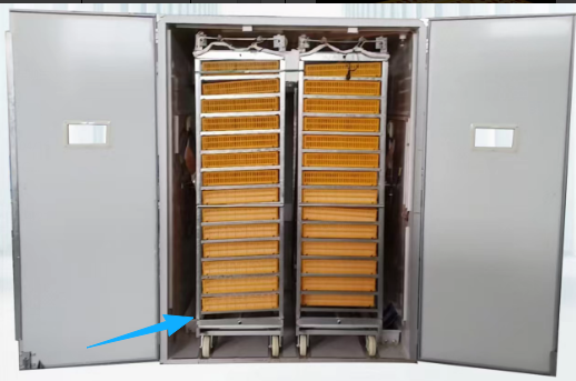 Incubadora de Huevos Grande pa - Poultry Incubator reseña y precio
