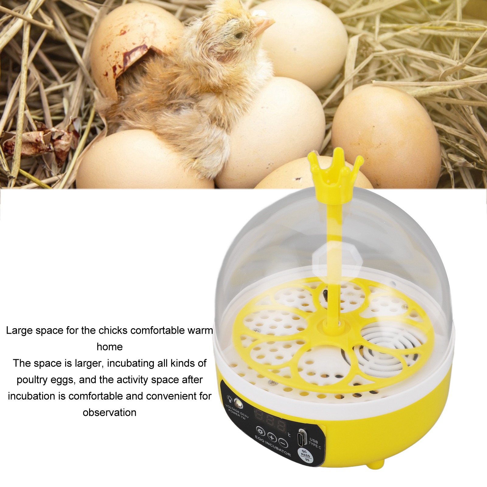 Incubadora de huevos, Control  - Poultry Incubator reseña y precio