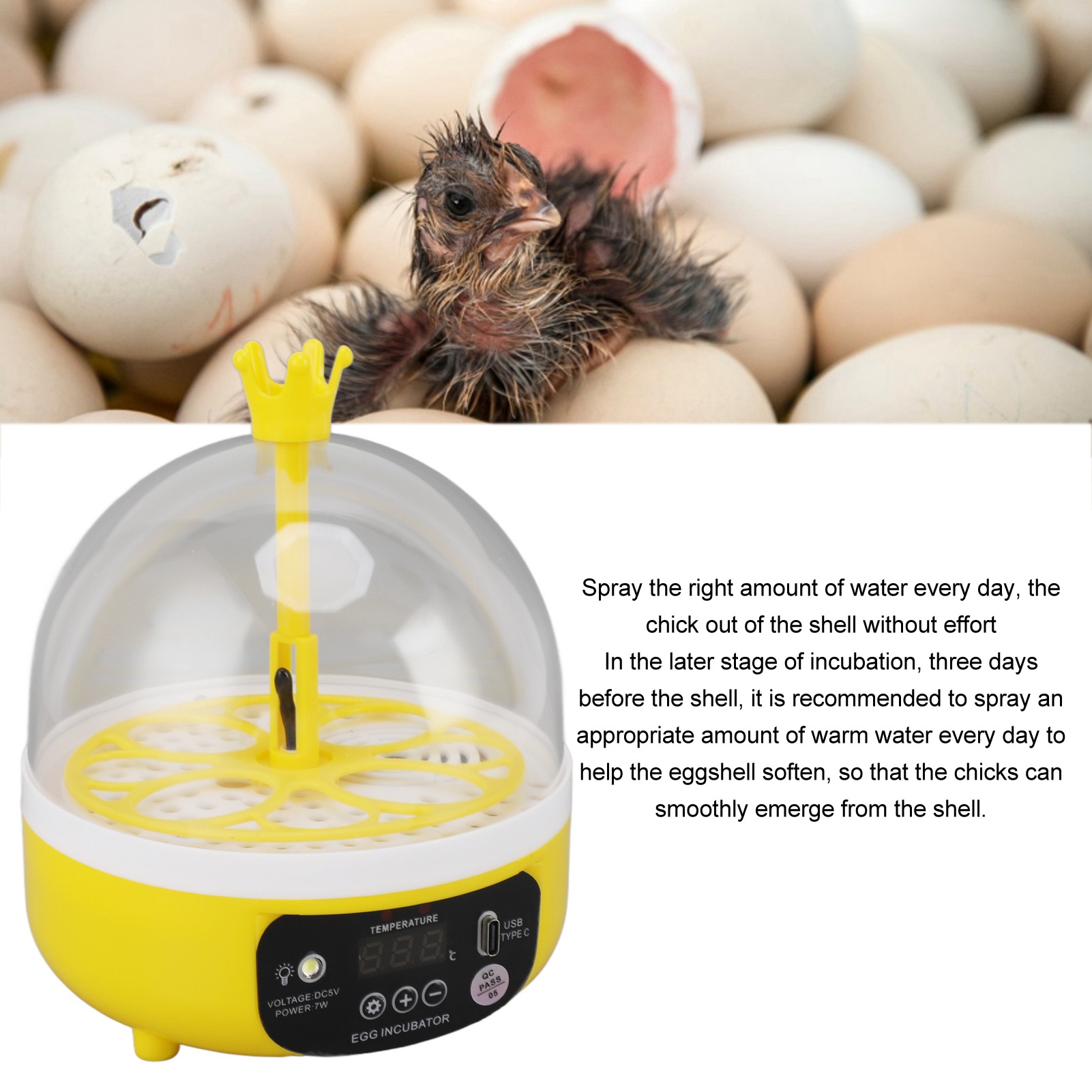 Incubadora de huevos, Control  - Poultry Incubator reseña y precio