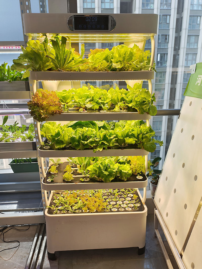 c Máquina agrícola para cultiv - Agriculture Farming System reseña y precio