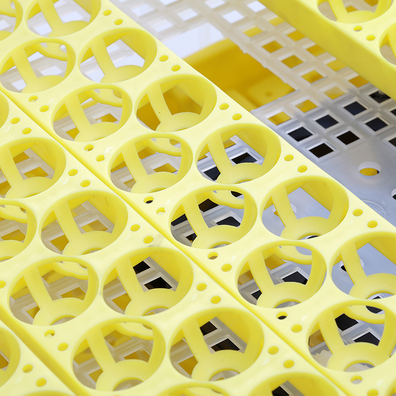 Incubadora de Pollos/Patos HHD - Poultry Incubator reseña y precio