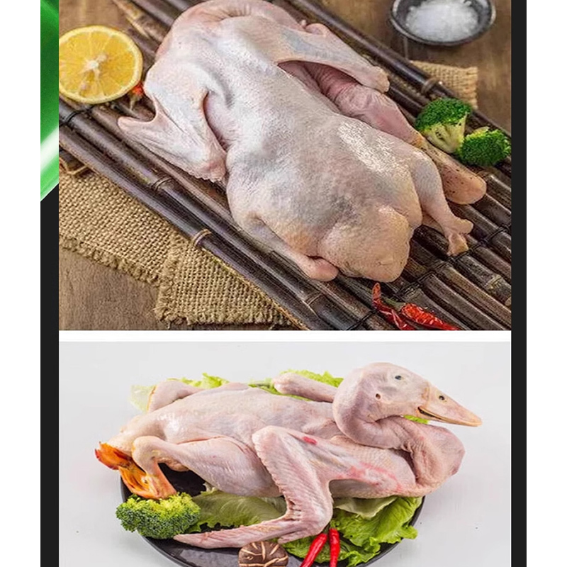 Máquina desplumadora de plumas - Chicken Plucker Machine reseña y precio