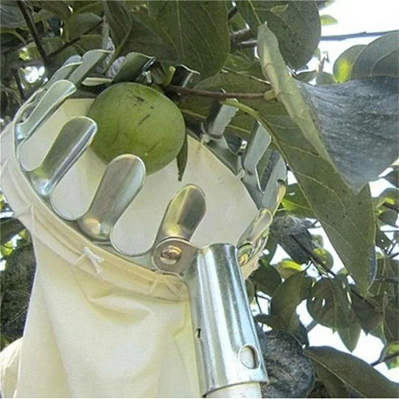Recolector de Frutas para Gran - Farming Tools For Agriculture reseña y precio