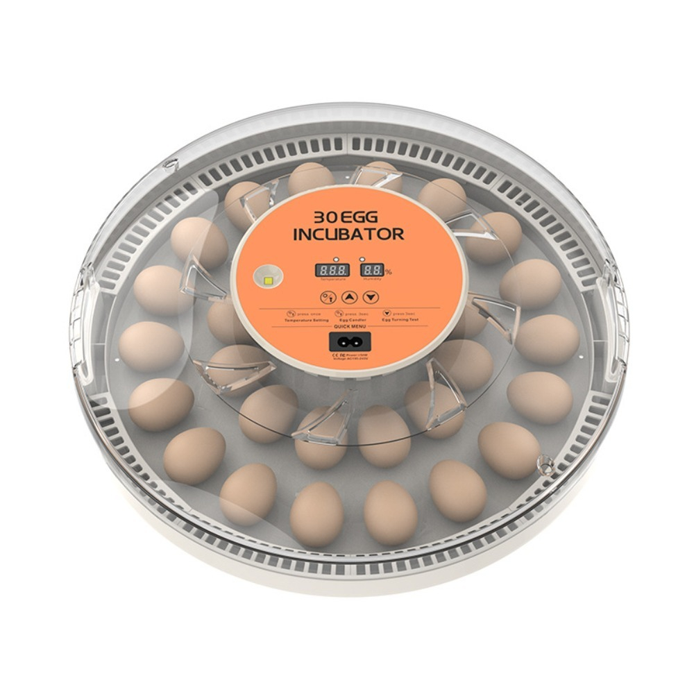 Incubadora Automática Pequeña  - Poultry Incubator reseña y precio