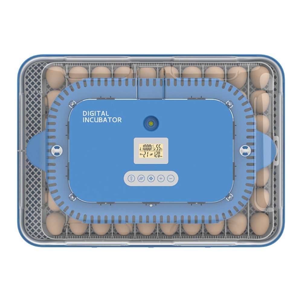 Incubadora Automática Pequeña  - Poultry Incubator reseña y precio