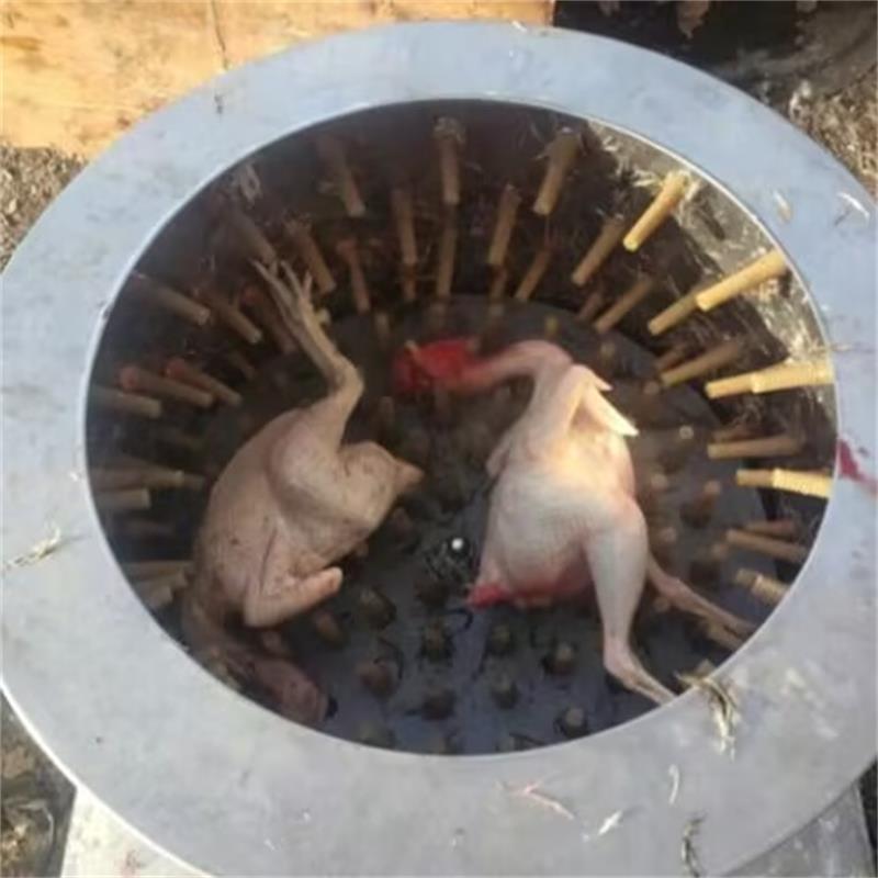 Nueva máquina de depilación de - Chicken Plucker Machine reseña y precio