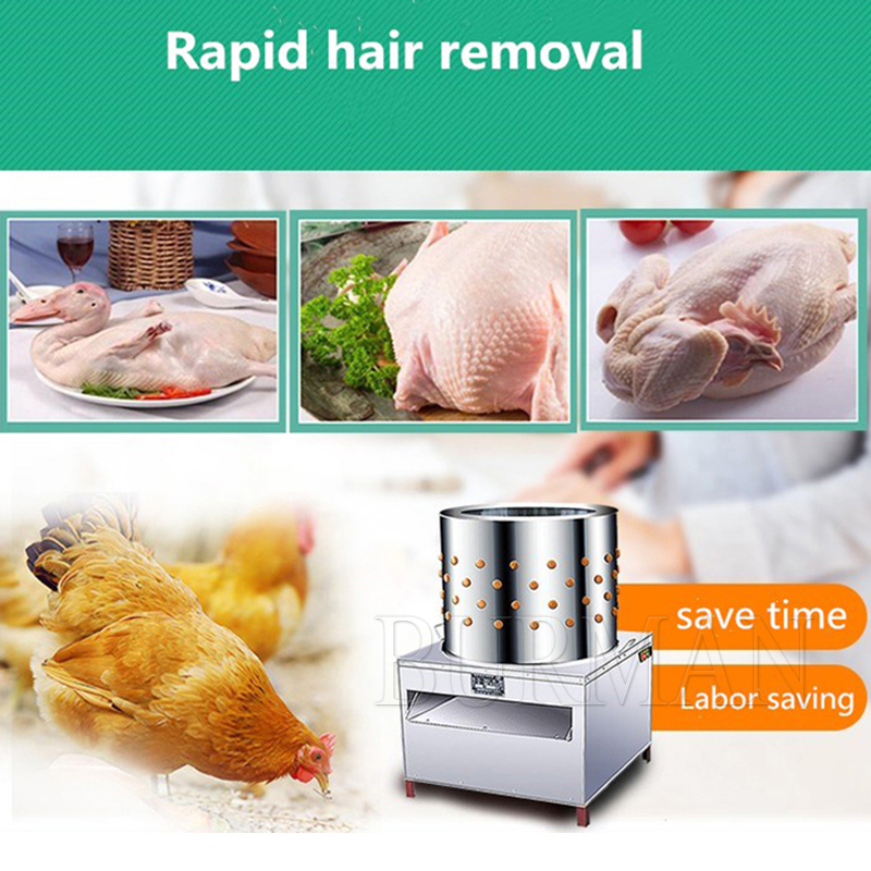 Nueva máquina de depilación de - Chicken Plucker Machine reseña y precio