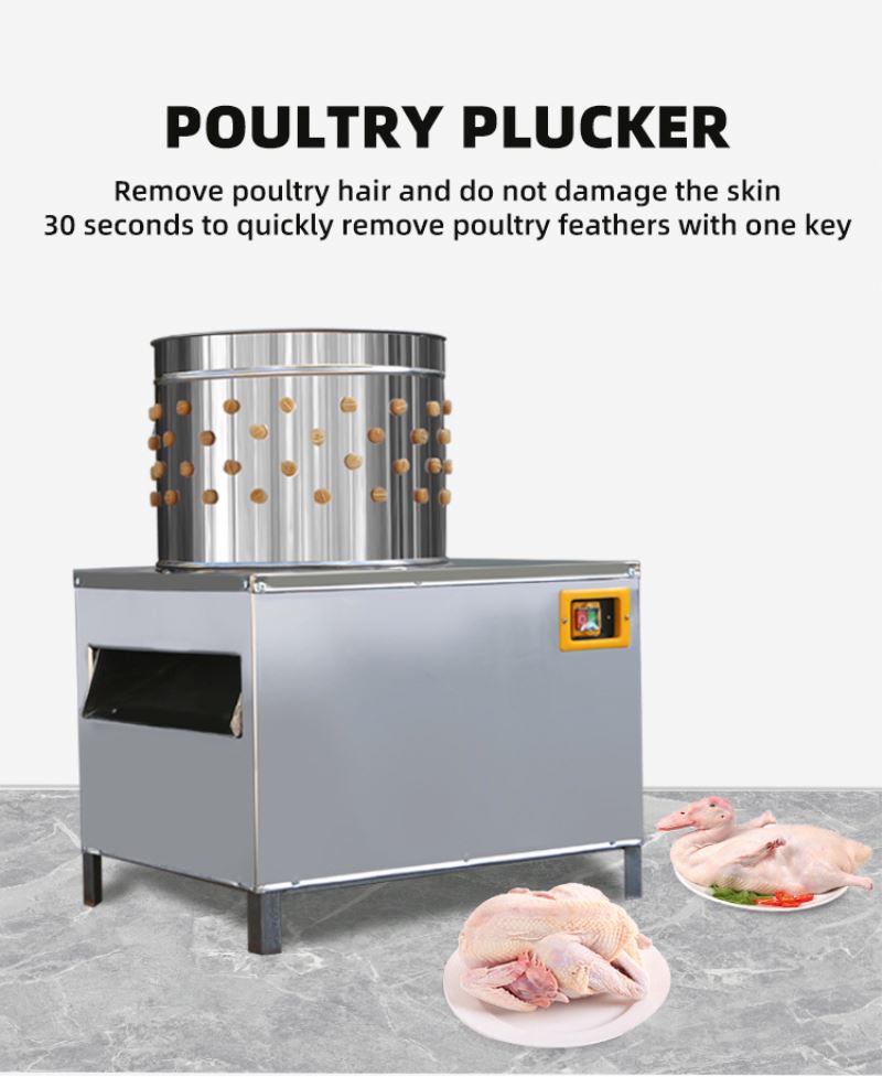 Máquina de Sacrificio de Pollo - Chicken Plucker Machine reseña y precio